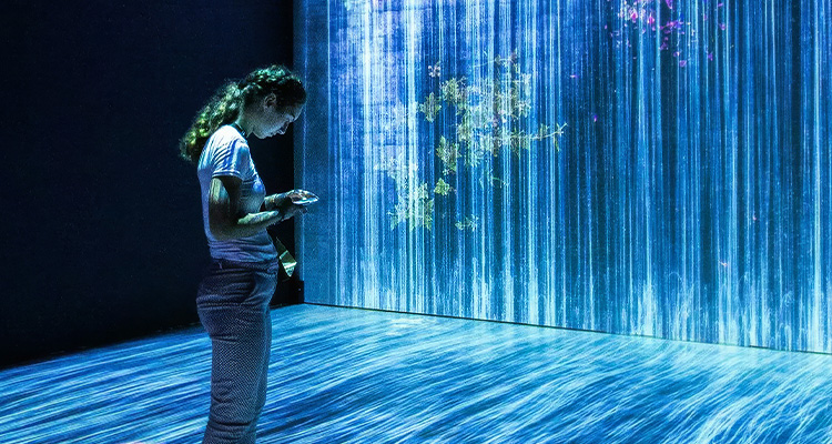 an immersive digital art exhibition